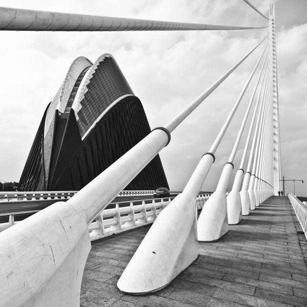 Photograph Della Latta Massimo  Calatrava Park on One Eyeland